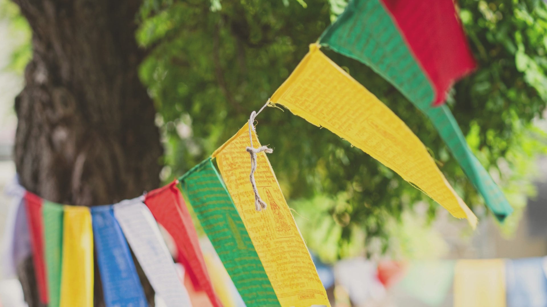 Video laden: Rückblick auf das Yoga Festival 2024